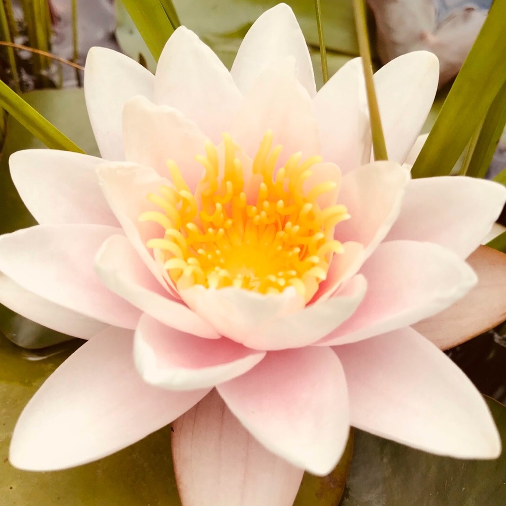 Meet your Posher, Brooke